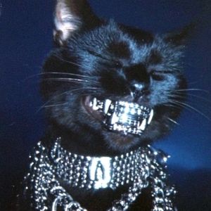 Meet your Posher, Paul